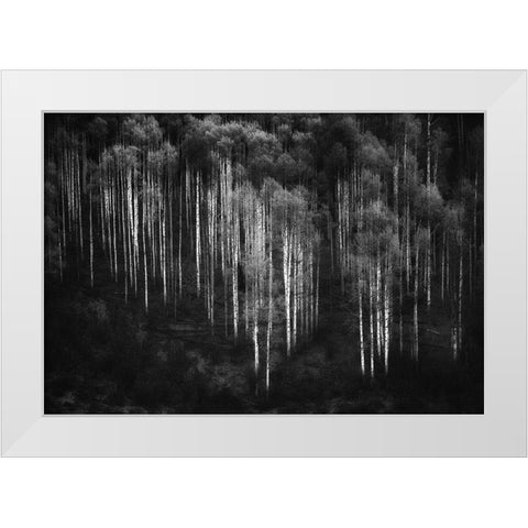 Untitled White Modern Wood Framed Art Print by Chopra, Atul
