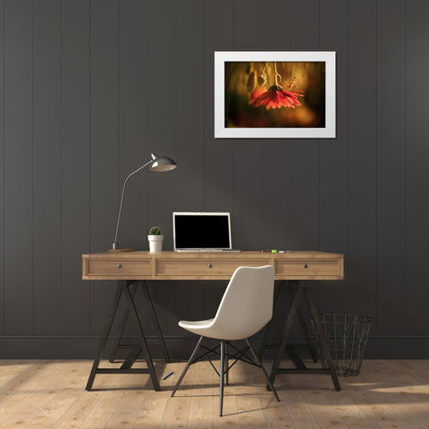 Nous Venons En Paix White Modern Wood Framed Art Print by BRAVIN, Fabien