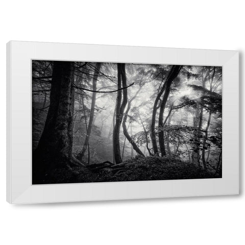 Mysterious Light White Modern Wood Framed Art Print by Maier, Norbert