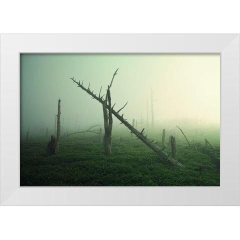 Beautiful Rot White Modern Wood Framed Art Print by Sugimoto, Koji