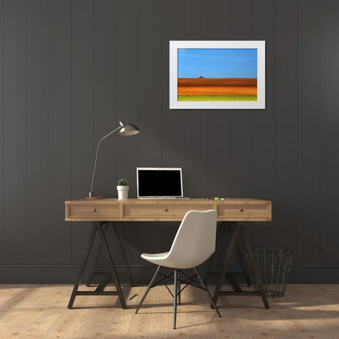 The Tractor White Modern Wood Framed Art Print by Della Latta, Massimo