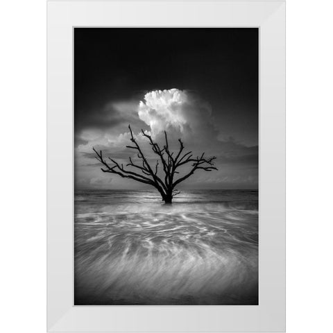 Oceanus White Modern Wood Framed Art Print by Moore, Chris