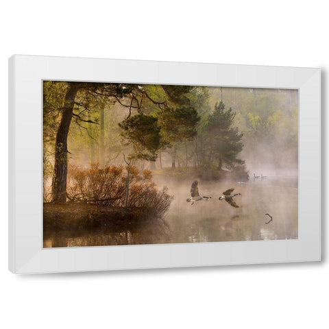 Goose Fight White Modern Wood Framed Art Print by Van Dongen, Anton