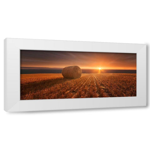 Gold Harvest White Modern Wood Framed Art Print by Krakowski, Marcin