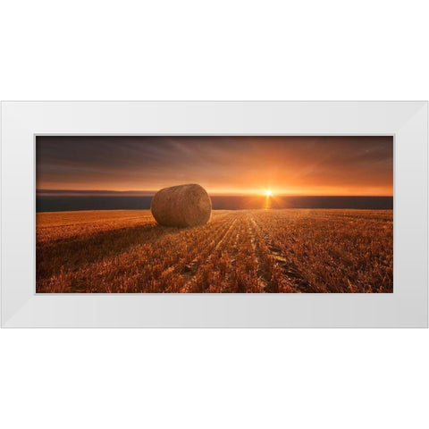 Gold Harvest White Modern Wood Framed Art Print by Krakowski, Marcin