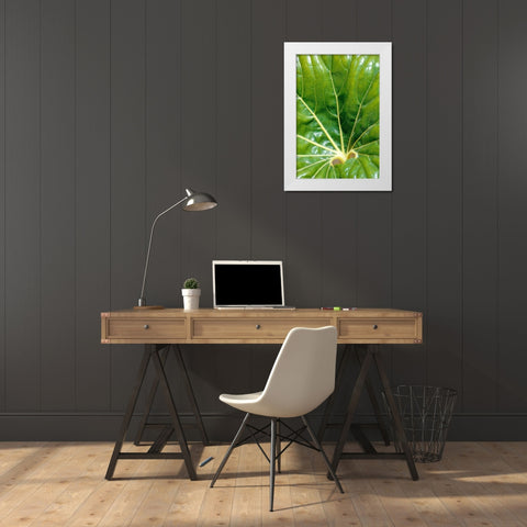 Tropical Leaf White Modern Wood Framed Art Print by Blue, Cyril