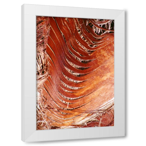 Palm Bark White Modern Wood Framed Art Print by Blue, Cyril