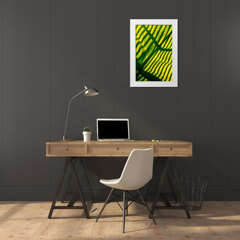 Palm Frond White Modern Wood Framed Art Print by Blue, Cyril