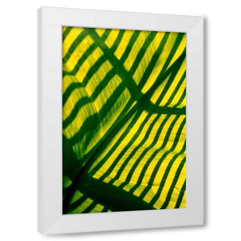 Palm Frond White Modern Wood Framed Art Print by Blue, Cyril