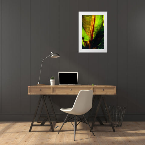 Palm Frond White Modern Wood Framed Art Print by Blue, Cyril