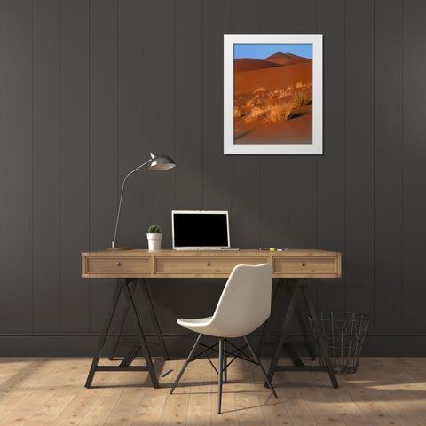 Grasses, Sand Dunes Sahara White Modern Wood Framed Art Print by Blue, Cyril