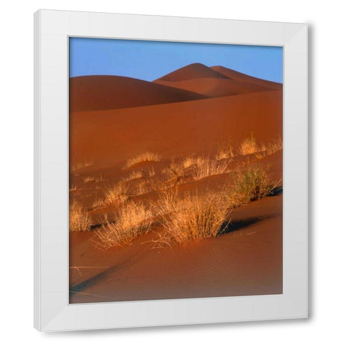 Grasses, Sand Dunes Sahara White Modern Wood Framed Art Print by Blue, Cyril