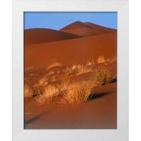Grasses, Sand Dunes Sahara White Modern Wood Framed Art Print by Blue, Cyril