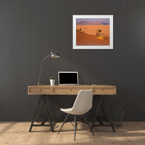 Grasses, Trees, Sand Dunes Sahara White Modern Wood Framed Art Print by Blue, Cyril