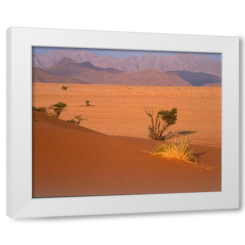 Grasses, Trees, Sand Dunes Sahara White Modern Wood Framed Art Print by Blue, Cyril