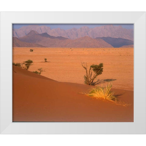 Grasses, Trees, Sand Dunes Sahara White Modern Wood Framed Art Print by Blue, Cyril