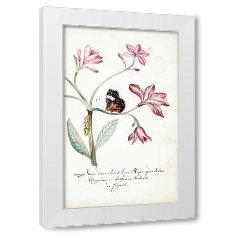 Jasmine Tree Branch, Caterpillar White Modern Wood Framed Art Print by Markee, Cornelis