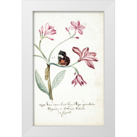 Jasmine Tree Branch, Caterpillar White Modern Wood Framed Art Print by Markee, Cornelis