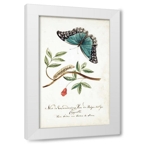 Plant With Leaves, Caterpillar, Butterfly White Modern Wood Framed Art Print by Markee, Cornelis