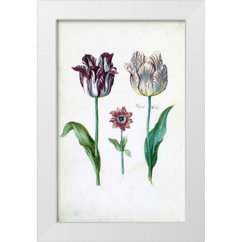 Tulips White Modern Wood Framed Art Print by De Bray, Dirck
