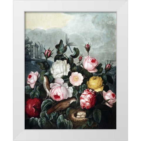 Roses White Modern Wood Framed Art Print by Thornton, Dr R