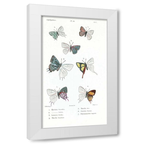 Buterflies, Plate 22 White Modern Wood Framed Art Print by Blanchard, Emile