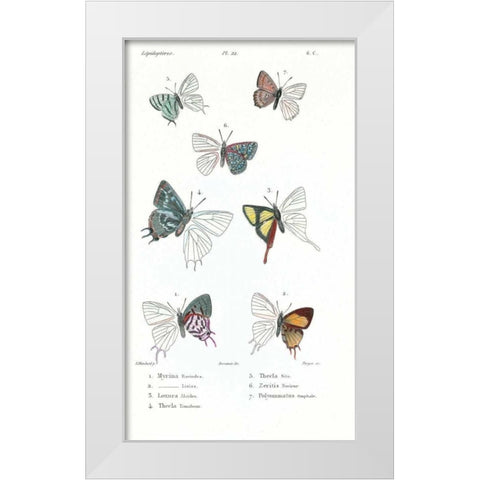 Buterflies, Plate 22 White Modern Wood Framed Art Print by Blanchard, Emile