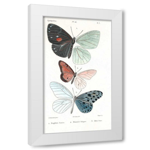 Butterflies, Plate 24 White Modern Wood Framed Art Print by Blanchard, Emile