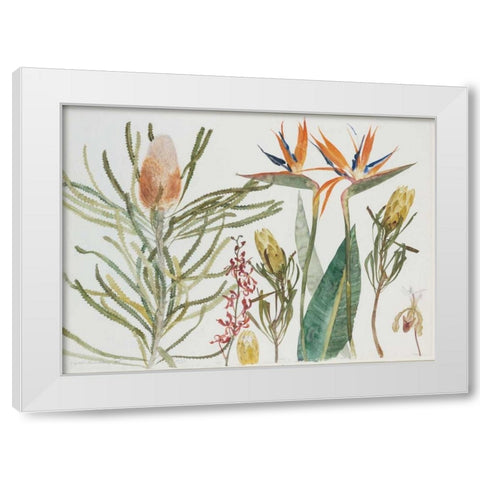 Strelizia, Banksia and Orchids White Modern Wood Framed Art Print by Blackadder, Elizabeth