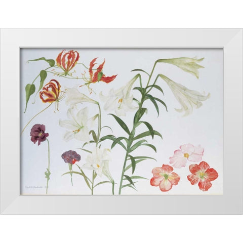 Lilies and Begonias White Modern Wood Framed Art Print by Blackadder, Elizabeth