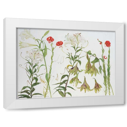 Lilies, Auratum, Nepalense, and Chalcedonicum White Modern Wood Framed Art Print by Blackadder, Elizabeth