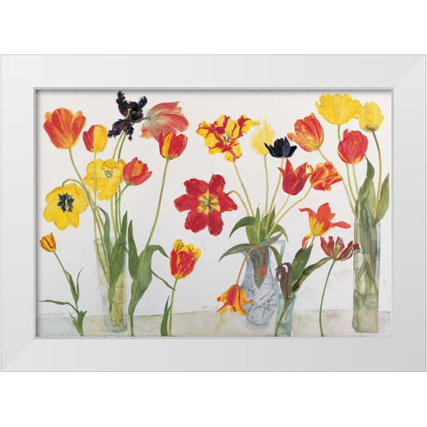 Red and Yellow Tulips White Modern Wood Framed Art Print by Blackadder, Elizabeth