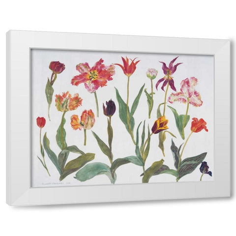 Tulips White Modern Wood Framed Art Print by Blackadder, Elizabeth