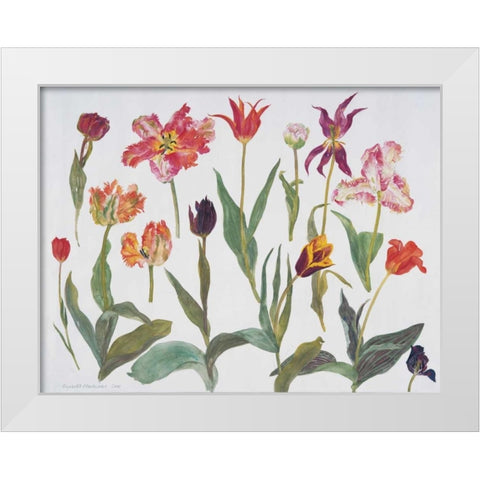 Tulips White Modern Wood Framed Art Print by Blackadder, Elizabeth