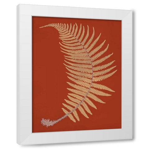 Male Fern White Modern Wood Framed Art Print by Heath, Francis George