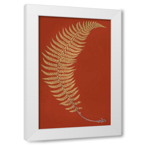 Hard Prickly Shied Fern White Modern Wood Framed Art Print by Heath, Francis George