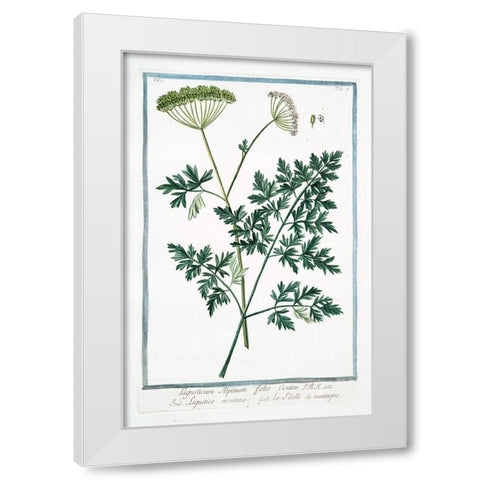 Cow Parsley 1 White Modern Wood Framed Art Print by Bonelli, Giorgio