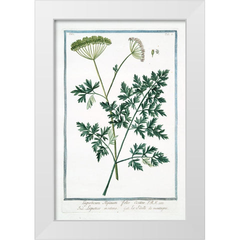 Cow Parsley 1 White Modern Wood Framed Art Print by Bonelli, Giorgio