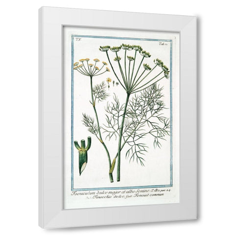 Cow Parsley 2 White Modern Wood Framed Art Print by Bonelli, Giorgio