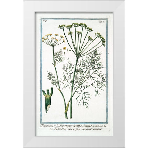 Cow Parsley 2 White Modern Wood Framed Art Print by Bonelli, Giorgio