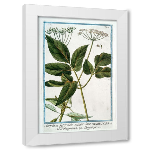 Cow Parsley 3 White Modern Wood Framed Art Print by Bonelli, Giorgio