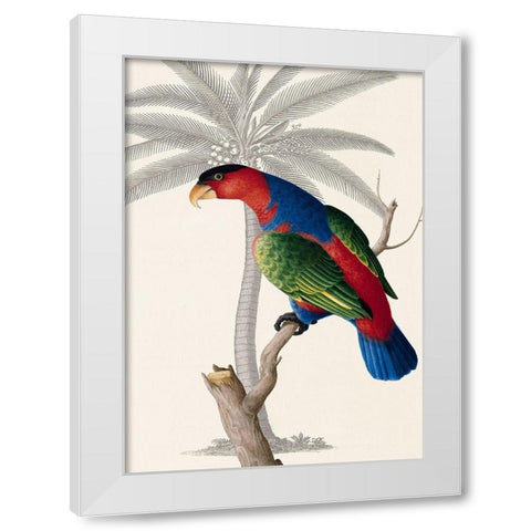 Palm/Lory Parrot White Modern Wood Framed Art Print by Ehret-De Bevere