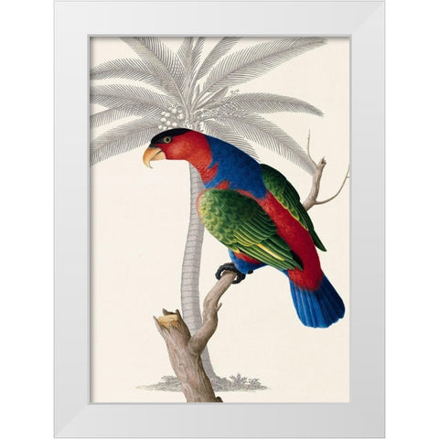 Palm/Lory Parrot White Modern Wood Framed Art Print by Ehret-De Bevere