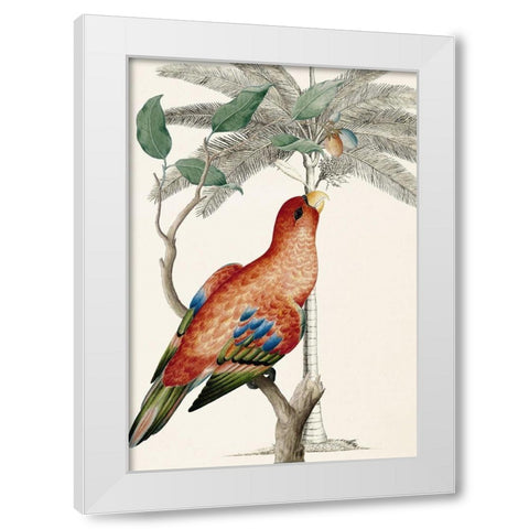 Palm/Lory Parrot White Modern Wood Framed Art Print by Ehret-De Bevere