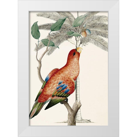 Palm/Lory Parrot White Modern Wood Framed Art Print by Ehret-De Bevere