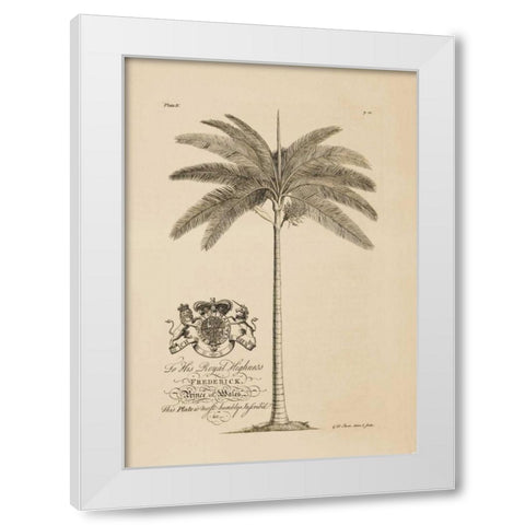 King Palm White Modern Wood Framed Art Print by Ehret, Georg
