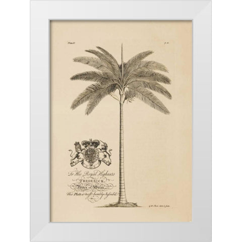 King Palm White Modern Wood Framed Art Print by Ehret, Georg