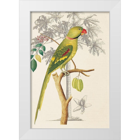 Palm/Parakeet White Modern Wood Framed Art Print by Ehret-De Bevere