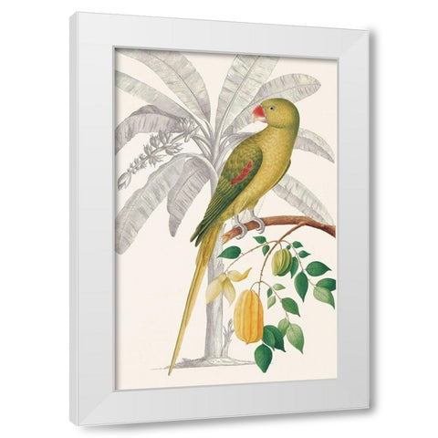 Palm/Parakeet White Modern Wood Framed Art Print by Ehret-De Bevere