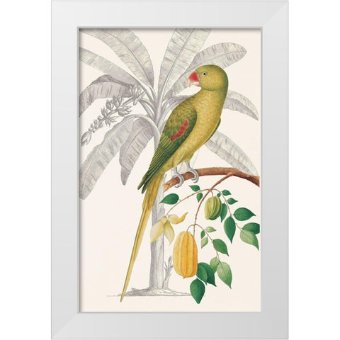 Palm/Parakeet White Modern Wood Framed Art Print by Ehret-De Bevere